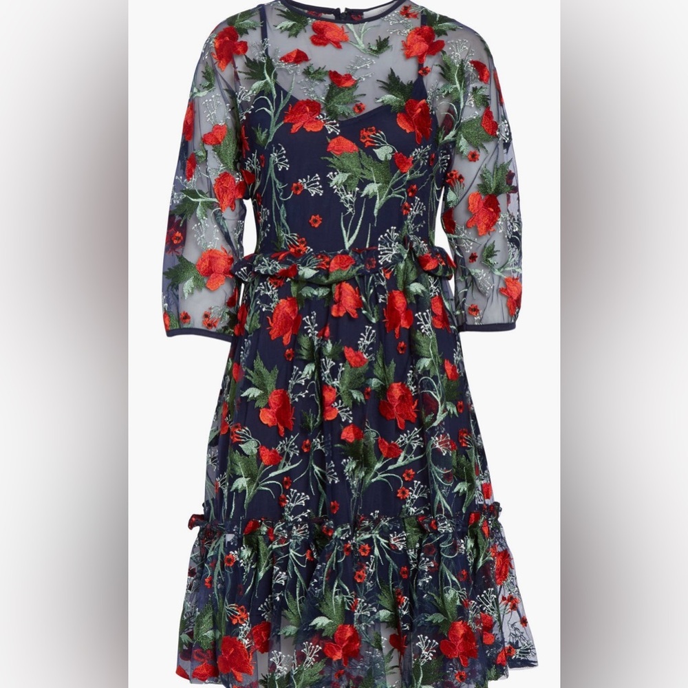 Women’s 1901 Embroidered Mesh Fit &Flare Dress Floral Red Blue Holiday Petite 12